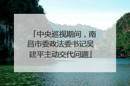 中央巡视期间，南昌市委政法委书记吴建平主动交代问题