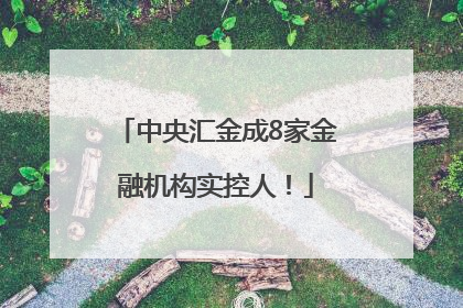 中央汇金成8家金融机构实控人！