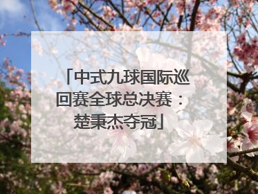 中式九球国际巡回赛全球总决赛：楚秉杰夺冠