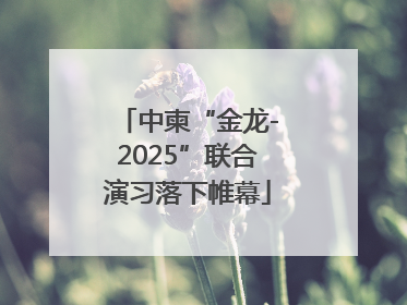中柬“金龙-2025”联合演习落下帷幕