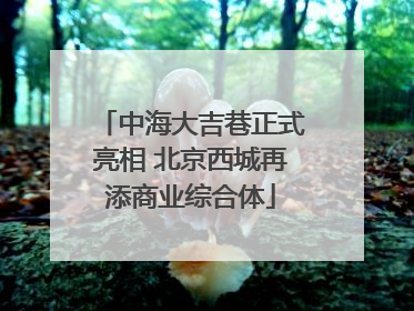 中海大吉巷正式亮相 北京西城再添商业综合体