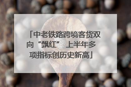 中老铁路跨境客货双向“飘红” 上半年多项指标创历史新高
