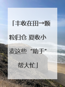 丰收在田→颗粒归仓 夏收小麦这些“助手”帮大忙