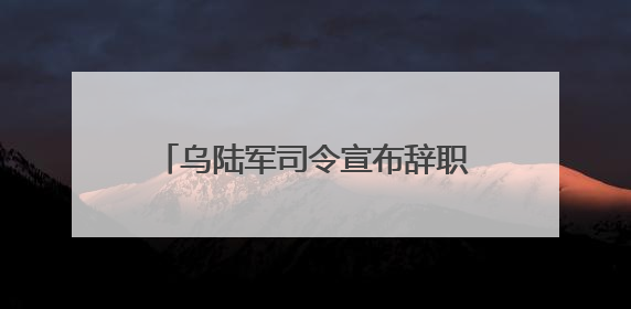 乌陆军司令宣布辞职！第二轮谈判在即，泽连斯基提出三大核心诉求！乌方透露摧毁41架俄战略轰炸机