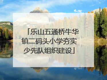 乐山五通桥牛华镇二码头小学夯实少先队组织建设