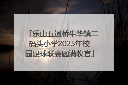 乐山五通桥牛华镇二码头小学2025年校园足球联赛圆满收官