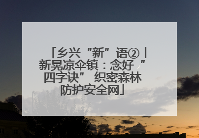 乡兴“新”语②丨新晃凉伞镇：念好“四字诀” 织密森林防护安全网