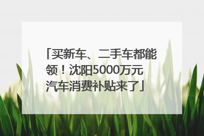 买新车、二手车都能领！沈阳5000万元汽车消费补贴来了