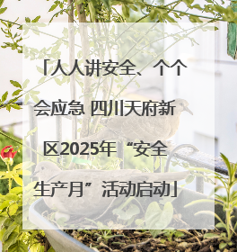 人人讲安全、个个会应急 四川天府新区2025年“安全生产月”活动启动
