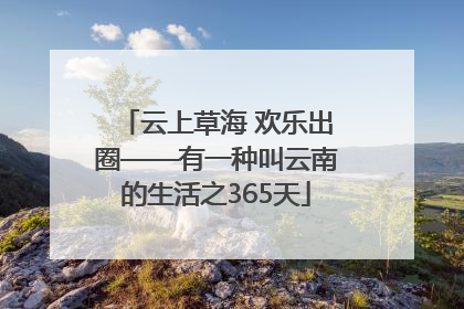 云上草海 欢乐出圈——有一种叫云南的生活之365天