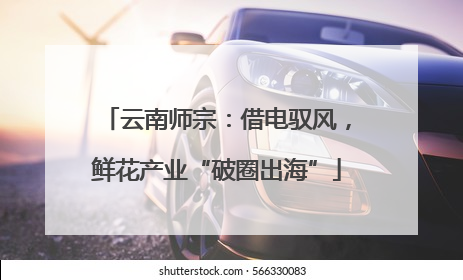 云南师宗：借电驭风，鲜花产业“破圈出海”