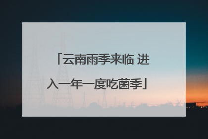 云南雨季来临 进入一年一度吃菌季