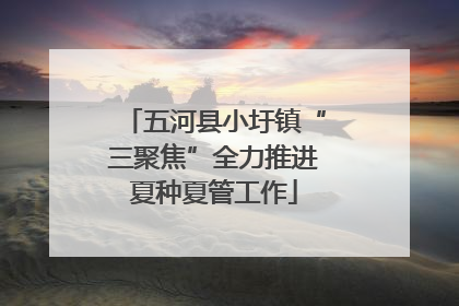 五河县小圩镇“三聚焦”全力推进夏种夏管工作