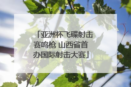 亚洲杯飞碟射击赛鸣枪 山西省首办国际射击大赛