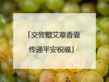 交警赠艾草香囊 传递平安祝福