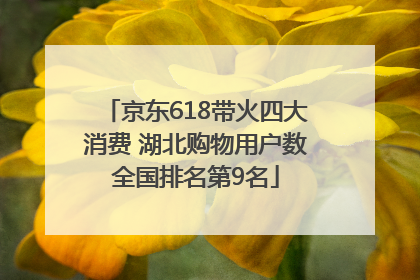 京东618带火四大消费 湖北购物用户数全国排名第9名