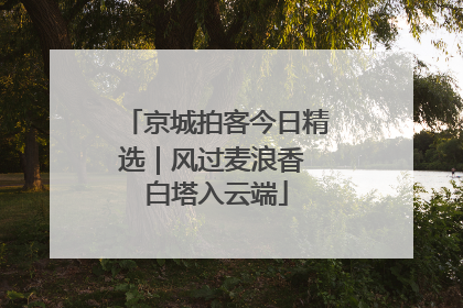 京城拍客今日精选｜风过麦浪香 白塔入云端