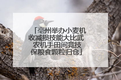 亳州举办小麦机收减损技能大比武 农机手田间竞技保粮食颗粒归仓