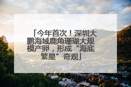 今年首次！深圳大鹏海域鹿角珊瑚大规模产卵，形成“海底繁星”奇观