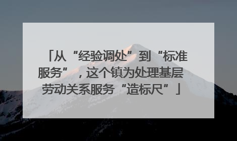 从“经验调处”到“标准服务”，这个镇为处理基层劳动关系服务“造标尺”