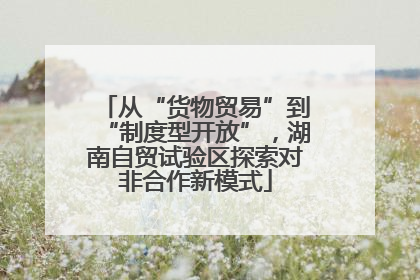 从“货物贸易”到“制度型开放”，湖南自贸试验区探索对非合作新模式