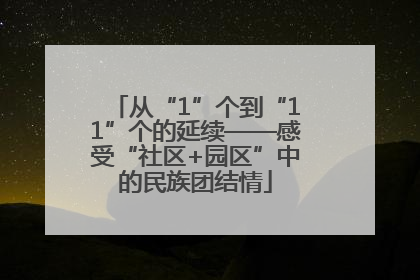 从“1”个到“11”个的延续——感受“社区+园区”中的民族团结情