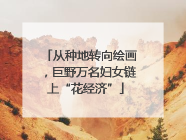 从种地转向绘画，巨野万名妇女链上“花经济”