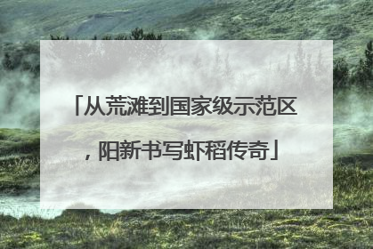 从荒滩到国家级示范区，阳新书写虾稻传奇