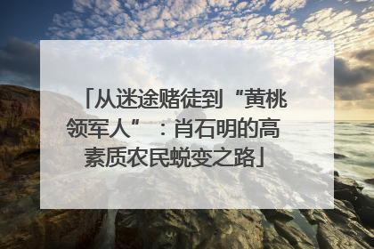从迷途赌徒到“黄桃领军人”：肖石明的高素质农民蜕变之路