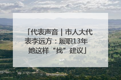 代表声音｜市人大代表李远方：履职13年 她这样“找”建议