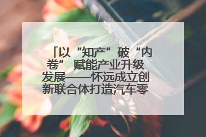 以“知产”破“内卷” 赋能产业升级发展——怀远成立创新联合体打造汽车零部件产业新高地