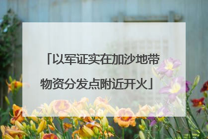 以军证实在加沙地带物资分发点附近开火