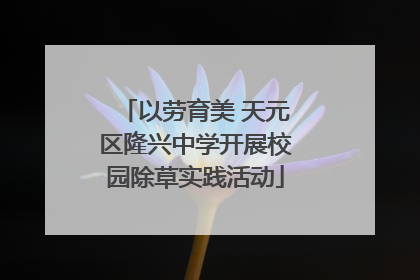 以劳育美 天元区隆兴中学开展校园除草实践活动