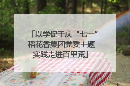 以学促干庆“七一” 稻花香集团党委主题实践走进百里荒