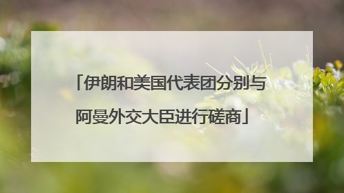 伊朗和美国代表团分别与阿曼外交大臣进行磋商