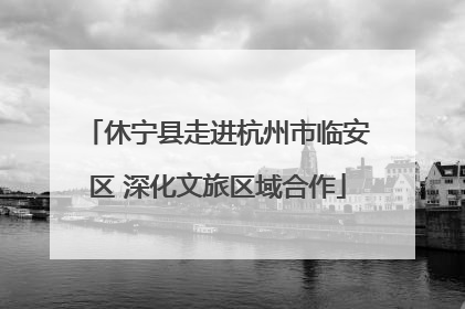休宁县走进杭州市临安区 深化文旅区域合作