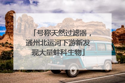 号称天然过滤器，通州北运河下游新发现大量蚌科生物