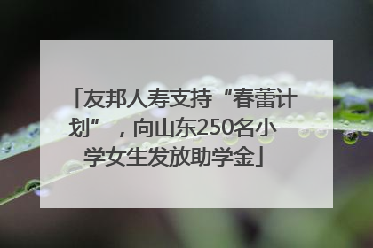 友邦人寿支持“春蕾计划”，向山东250名小学女生发放助学金