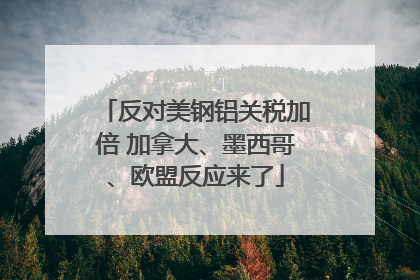 反对美钢铝关税加倍 加拿大、墨西哥、欧盟反应来了