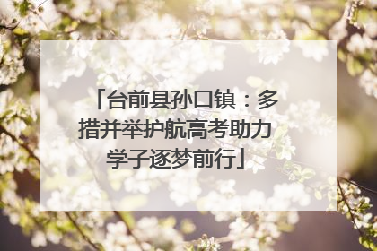 台前县孙口镇：多措并举护航高考助力学子逐梦前行