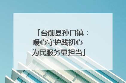 台前县孙口镇：暖心守护践初心 为民服务显担当