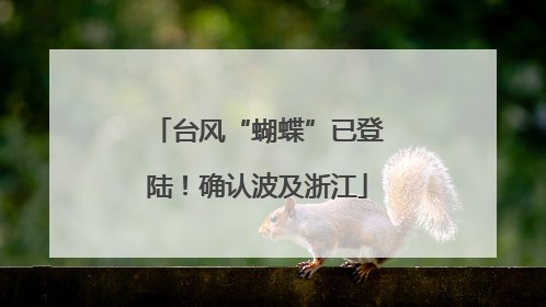 台风“蝴蝶”已登陆！确认波及浙江