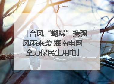台风“蝴蝶”携强风雨来袭 海南电网全力保民生用电