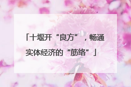 十堰开“良方”，畅通实体经济的“筋络”