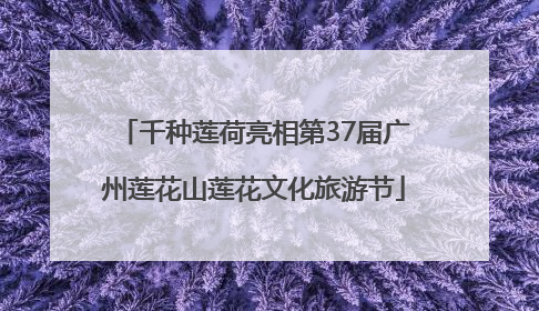 千种莲荷亮相第37届广州莲花山莲花文化旅游节