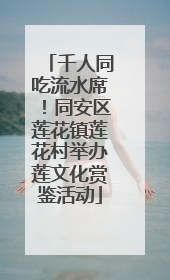 千人同吃流水席！同安区莲花镇莲花村举办莲文化赏鉴活动