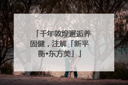 千年敦煌邂逅养固健，注解「新平衡•东方美」