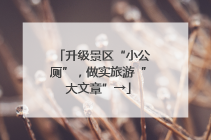 升级景区“小公厕”，做实旅游“大文章”→