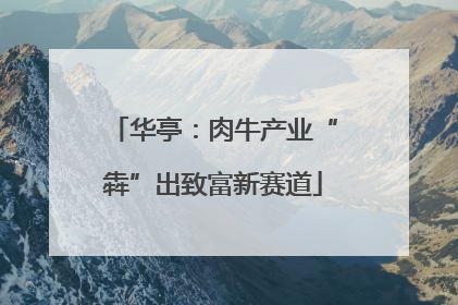 华亭：肉牛产业“犇”出致富新赛道