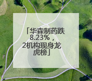 华森制药跌8.23%，2机构现身龙虎榜